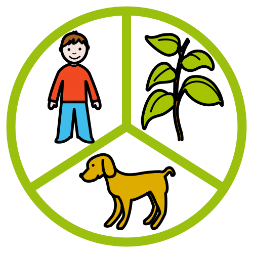 Ilustración que amosa unha persoa, un can e unha planta