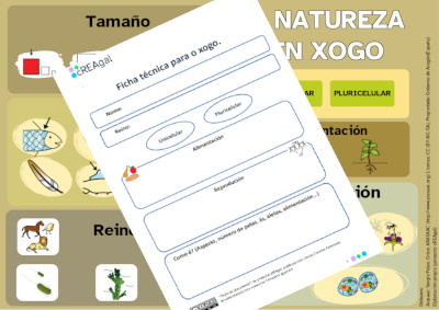 Taboleiro e ficha técnica