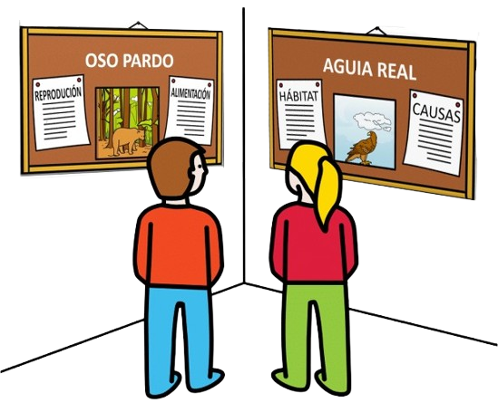 Exposición con dous taboleiros de cortiza, nun pon oso pardo e se ve unha imaxe dun oso pardo e dous carteis que poñen reprodución e alimentación, no outro pon aguia real e se ve unha imaxe dela e dous carteis que poñen hábitat e causas. Ademais hai un neno e unha nena de costas ollando os dous taboleiros