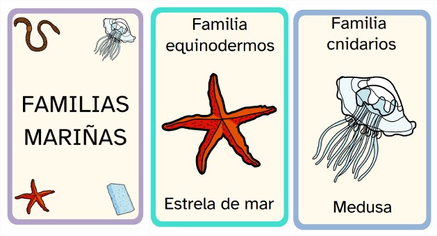 Imaxe do xogo de cartas familias mariñas, con exemplo de tres cartas, a estrela de mar da familia dos equinodermos, a medusa da familia dos cnidarios e a portada do xogo.