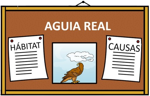 Imaxe dun cartel cunhas letras que poñen aguia real, unha imaxe dunha aguia real e dous papeis, un que pon hábitat e outro que pon causas.