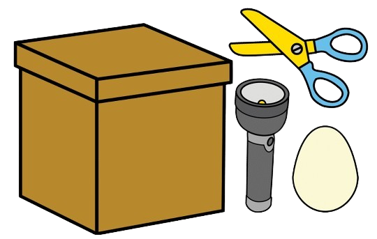 Caixa de cartón, tesoiras, lanterna e ovo branco