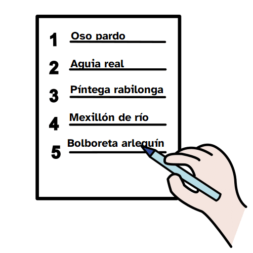 Man escribindo unha lista de animais en perigo de extinción como o oso pardo, a aguia real, a píntega rabilonga, o mexillón de río e a bolboreta arlequín.