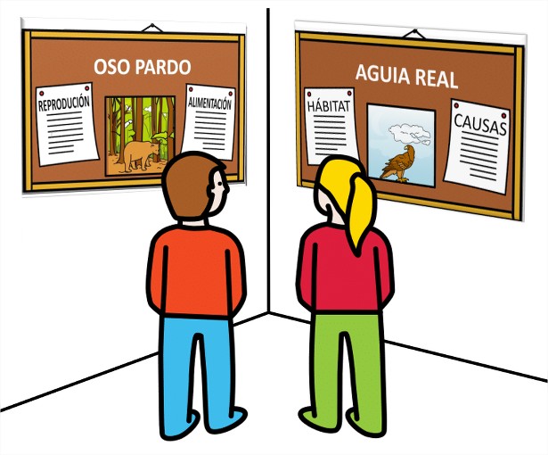 Un neno e unha nena miran dous taboleiros de cortiza, nun pon oso pardo e se ve unha imaxe dun oso pardo e dous carteis que poñen reprodución e alimentación, no outro pon aguia real e se ve unha imaxe dela e dous carteis que poñen hábitat e causas. Ademais hai un neno  e unha nena de costas ollando os dous taboleiros.