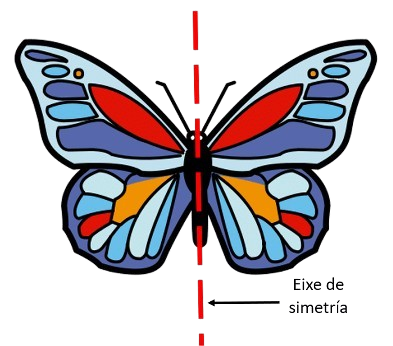 Eixe de simetría dunha bolboreta