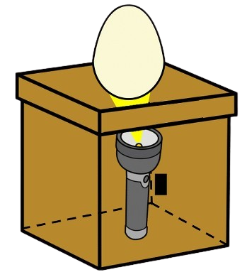 Caixa cunha lanterna acendida dentro e un ovo enriba