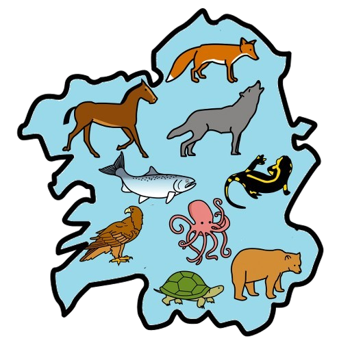 Mapa de Galicia con varios animais: lobo, raposo, cabalo, polbo, sapoconcho, píntega, aguia real, oso pardo e salmón.