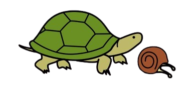 Tartaruga e caracol agochado dentro da cuncha