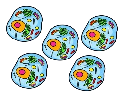 Pictograma de cinco células animais