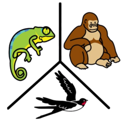 Camaleón, gorila e anduriña