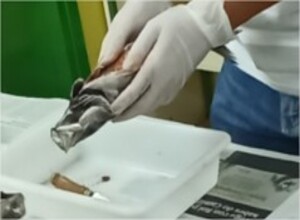 Ollando con coidado dentro