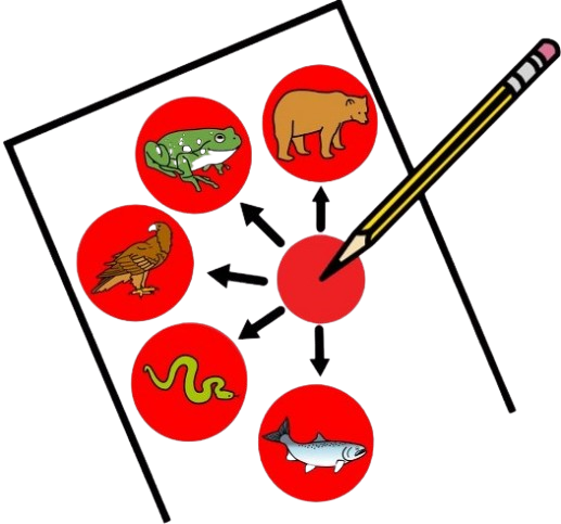 Seis círculos vermellos, cinco grandes cun animal en cada un: oso pardo, ra, aguia real, serpe e salmón. Un pequeno no centro cun lapis enriba. Do círculo pequeno saen cinco frechas cara a cada círculo grande.