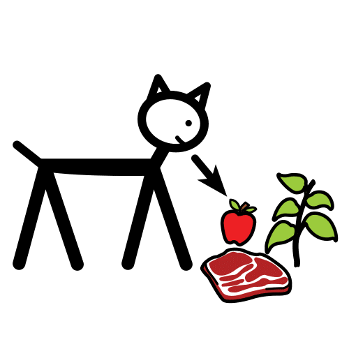 Animal ollando unha mazá, unha planta e un filete.