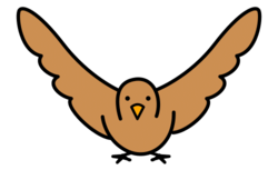 Paxaro marrón coas ás abertas