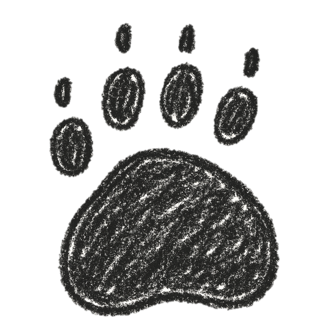Debuxo da pegada dun oso
