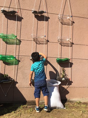 Horto en vertical con botellas