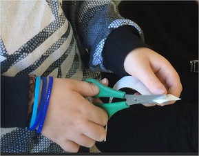 Experimento clorofila 5 Cortando unha tira de papel de filtro cun extremo en punta