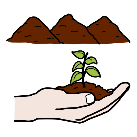 Man cunha pequena planta