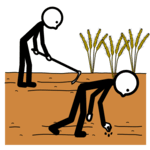 Dúas persoas cultivando