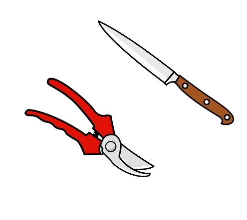 Coitelo e tesoiras de podar