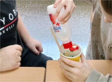 Experimento clorofila 3 Botando alcol sobre as follas cortadas en anacos