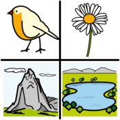 Debuxo dun paxaro, unha flor, unha montaña e un lago