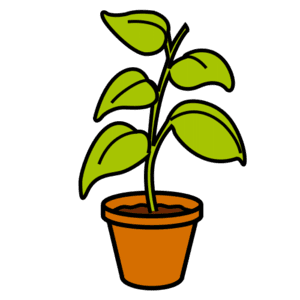 Maceta con planta verde sen follas