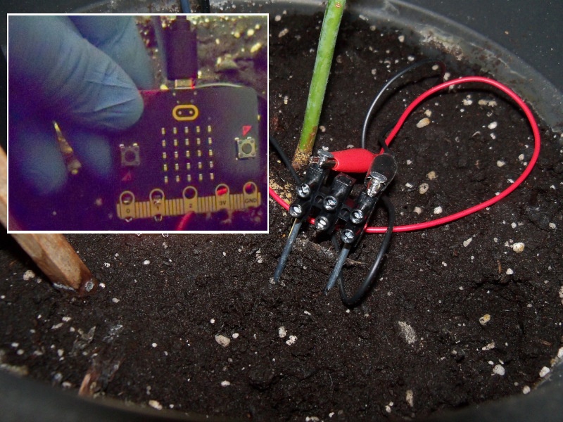 Utilizando o medidor nunha planta