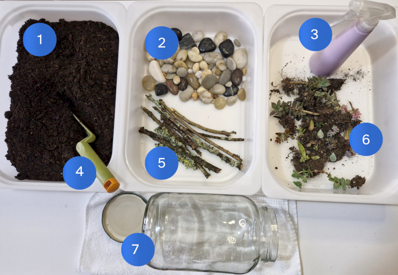 Imaxe dos materiais precisos para facer o experimento do ciclo da auga e ecosistema nun frasco. Terra, pa, pedras, paus, plantas, pulverizador con auga, frasco con tapadeira.