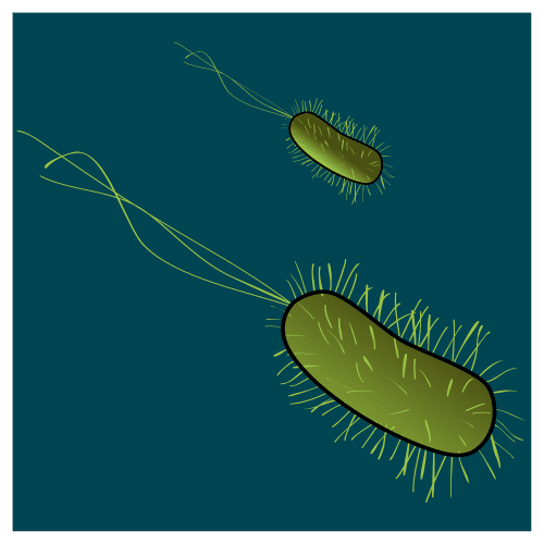Pictograma de bacterias