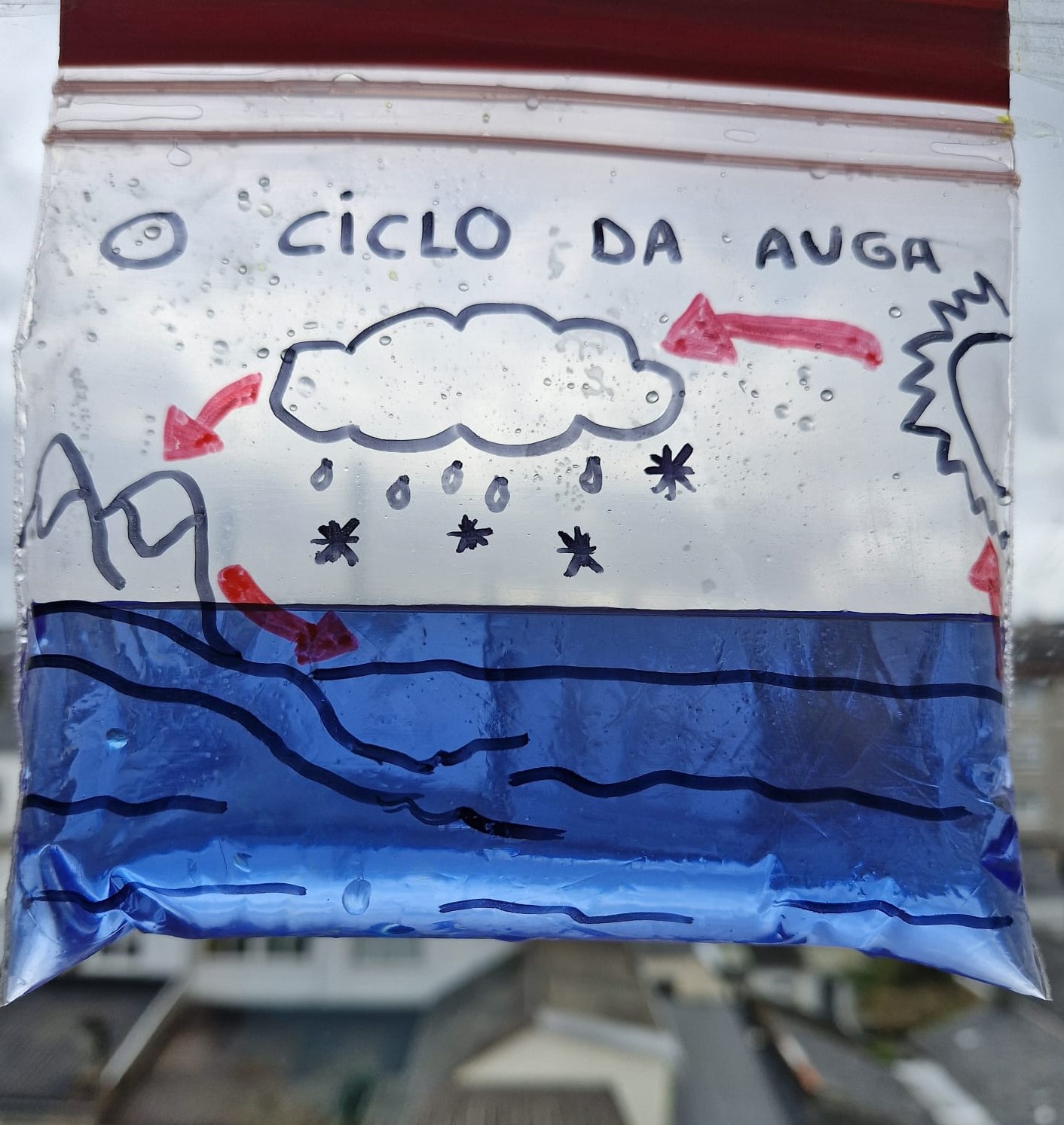 Imaxe do experimento do ciclo da auga nunha bolsiña