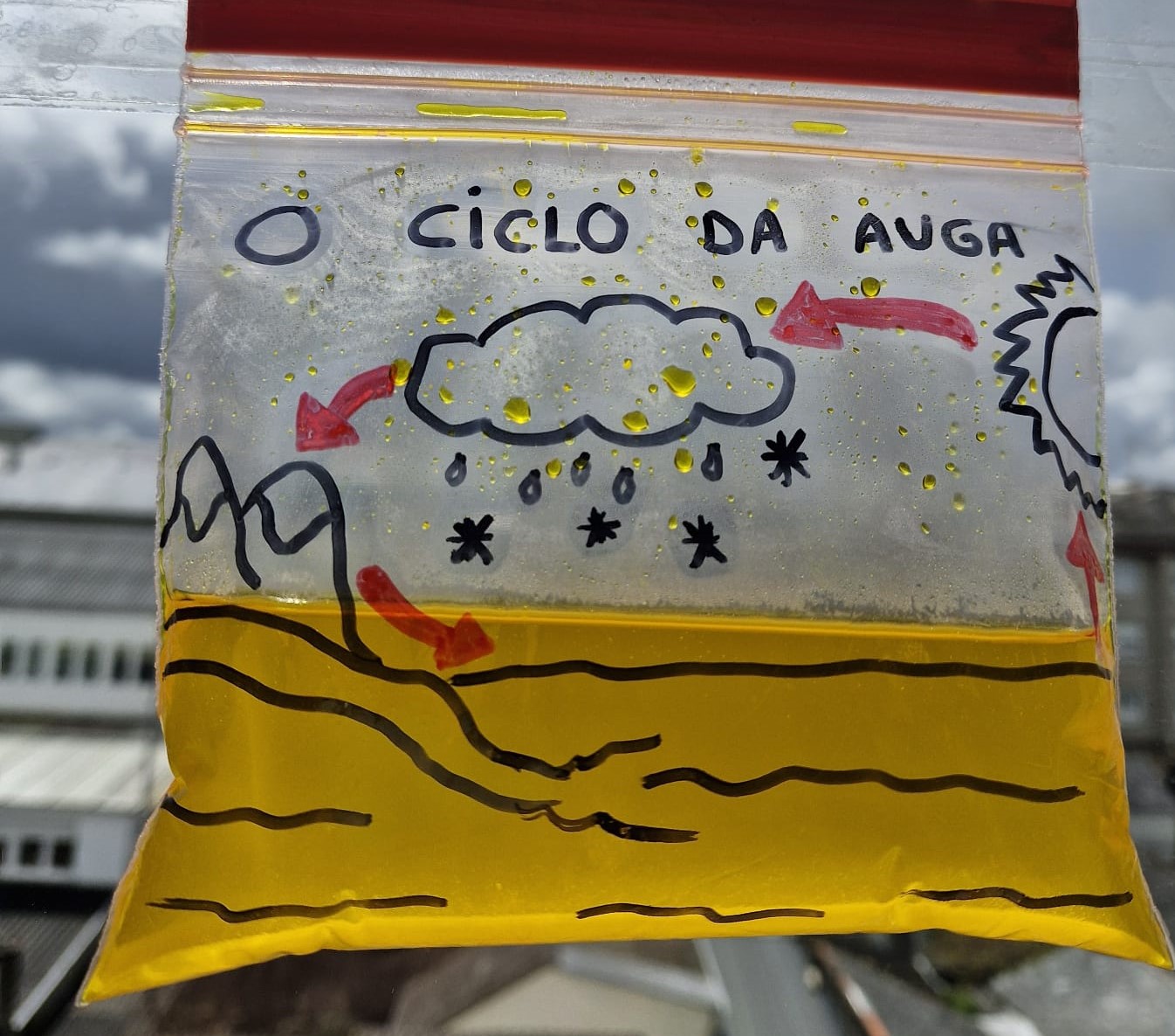 Imaxe do experimento do ciclo da auga en bolsiña 