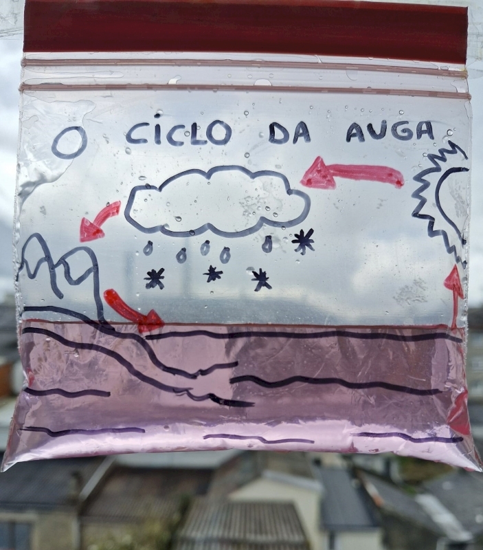 Imaxe do experimento do ciclo da auga en bolsiña rosa