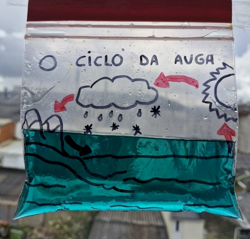 Imaxe do experimento do ciclo da auga en bolsiña verde