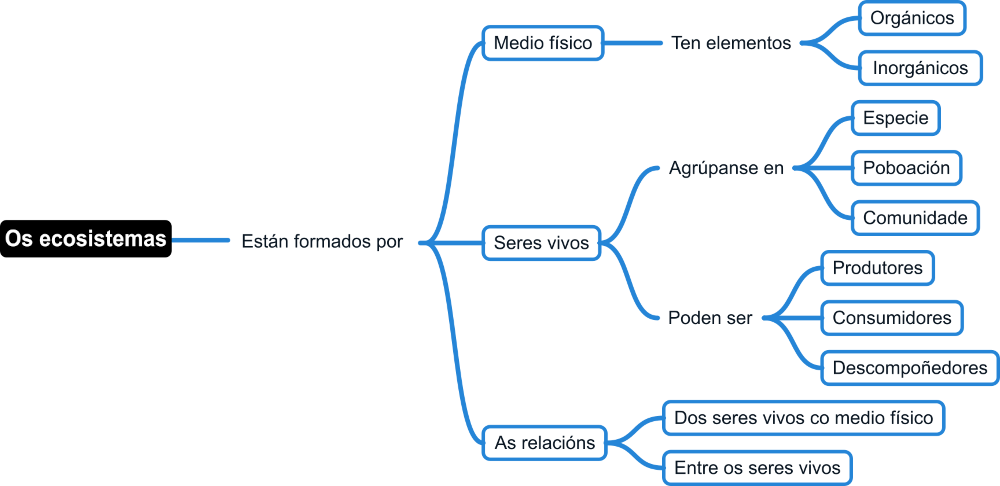 Esquema sobre os compoñentes dun ecosistema