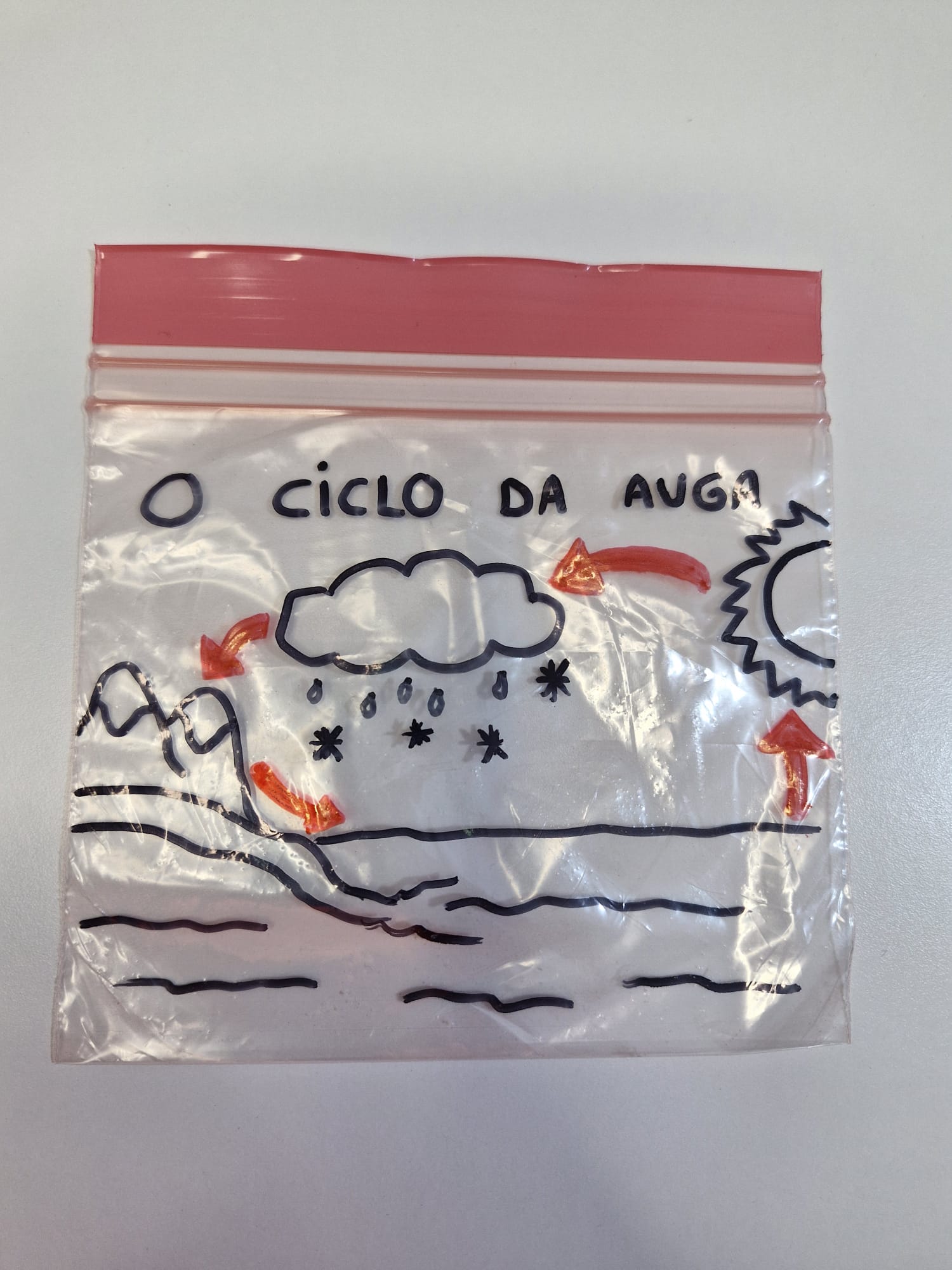 Imaxe do ciclo da auga nunha bolsiña transparente