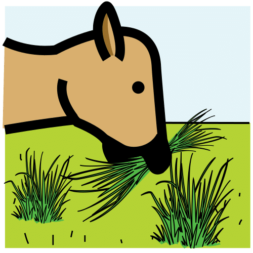 Pictograma dun animal pastando