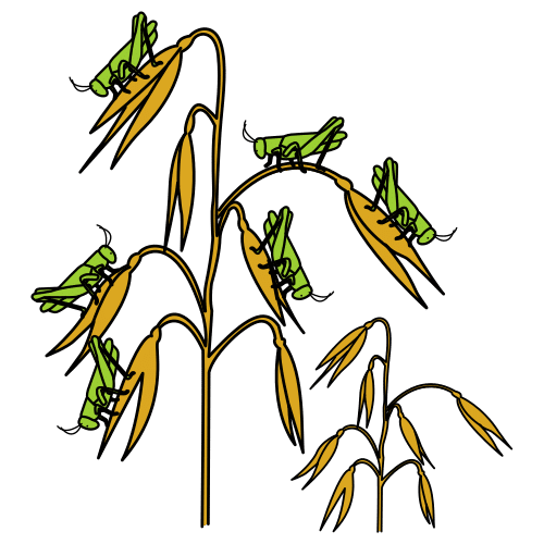 Pictograma dunha plaga