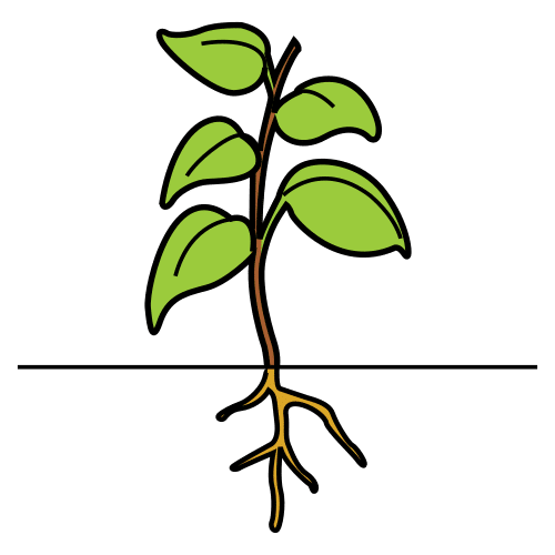 Pictograma dunha planta