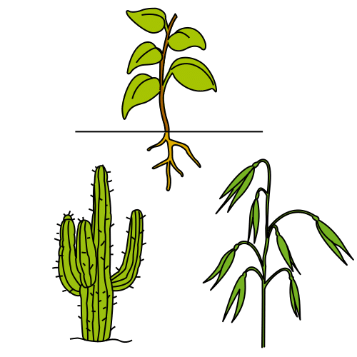 Pictograma de plantas