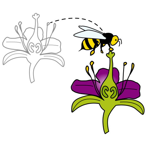 pictograma de unha abella polinizando
