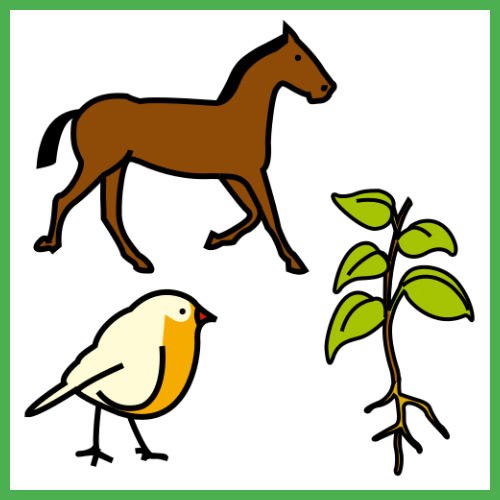 Imaxe con varios seres vivos.