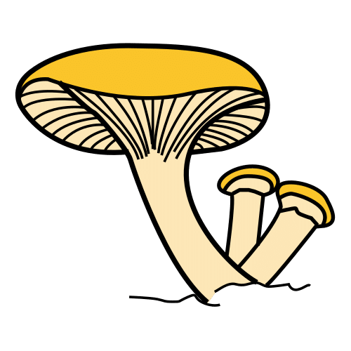 Pictograma de fungos