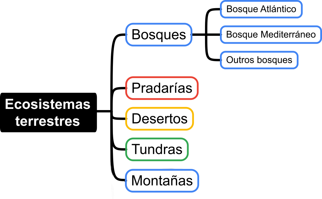 Ilustración cun esquema sobre os tipos de ecosistemas terrestres.
