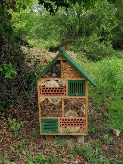 Casa para insectos nun bosque