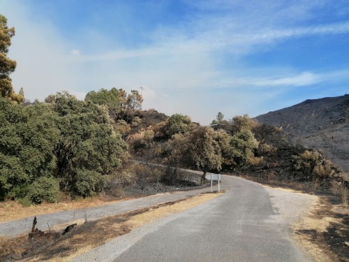 Estrada cos arredores queimados