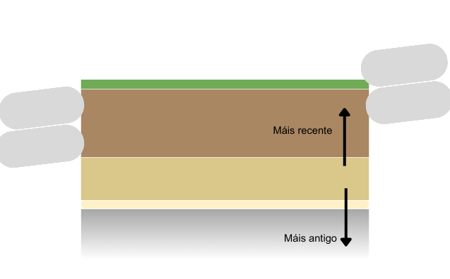 Ilustración que mostra diferentes niveis e capas do solo.