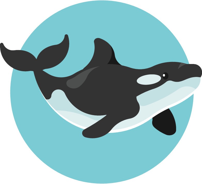 Orca fondo mar
