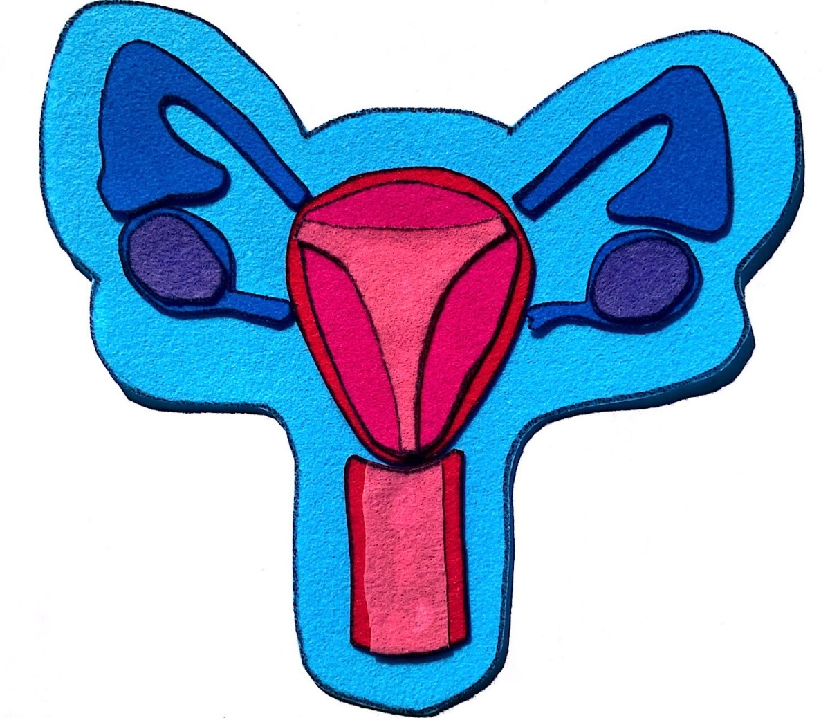 Maqueta aparello reprodutor feminino Maqueta feita de fieltro na que se representa o aparello reprodutor feminino.