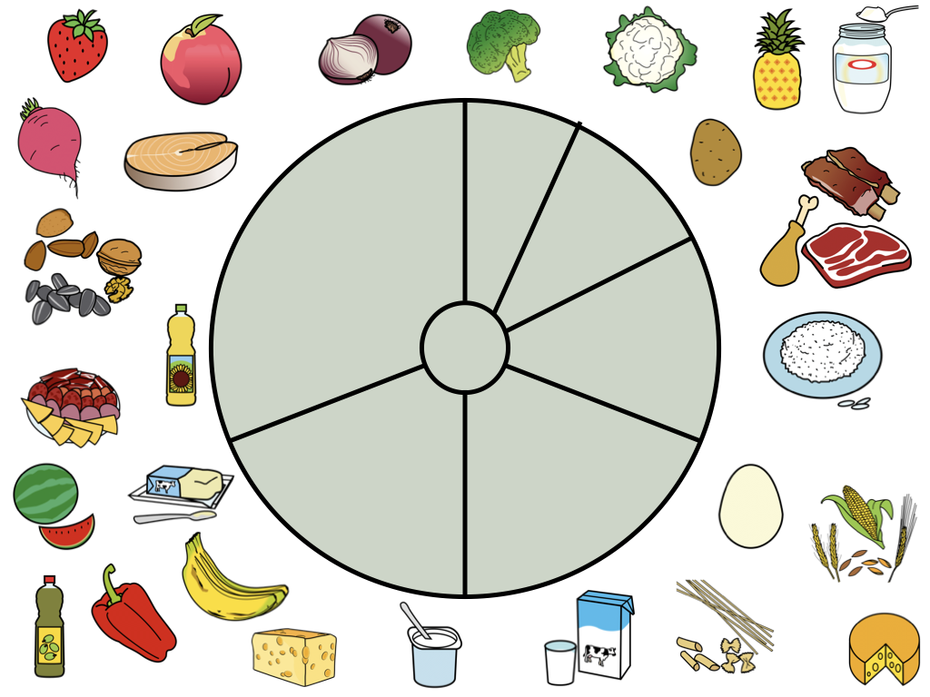 Unha roda de alimentos baleira con todos os alimentos que a compoñen espallados ao redor.